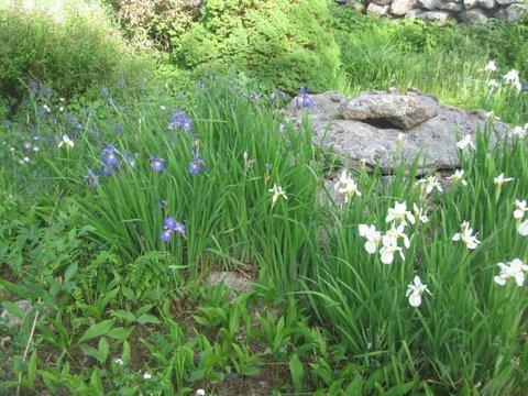 417 Ryerson Hill Road South Paris, ME 04281 - Photo 24 of 36 Photo
