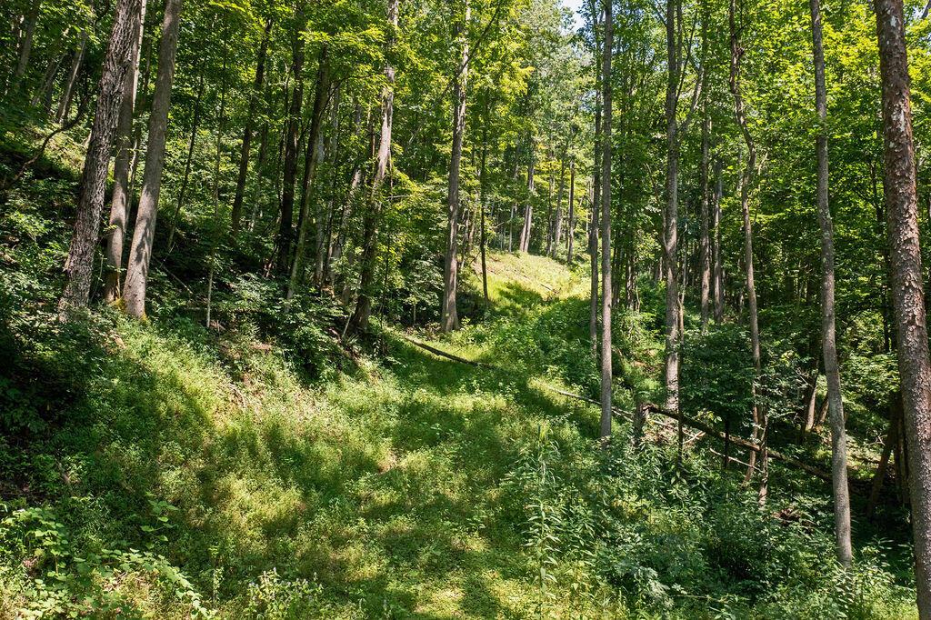 24272 Conrad Road Laurelville, OH 43135 - Photo 31 of 32 31-Walking Path-10