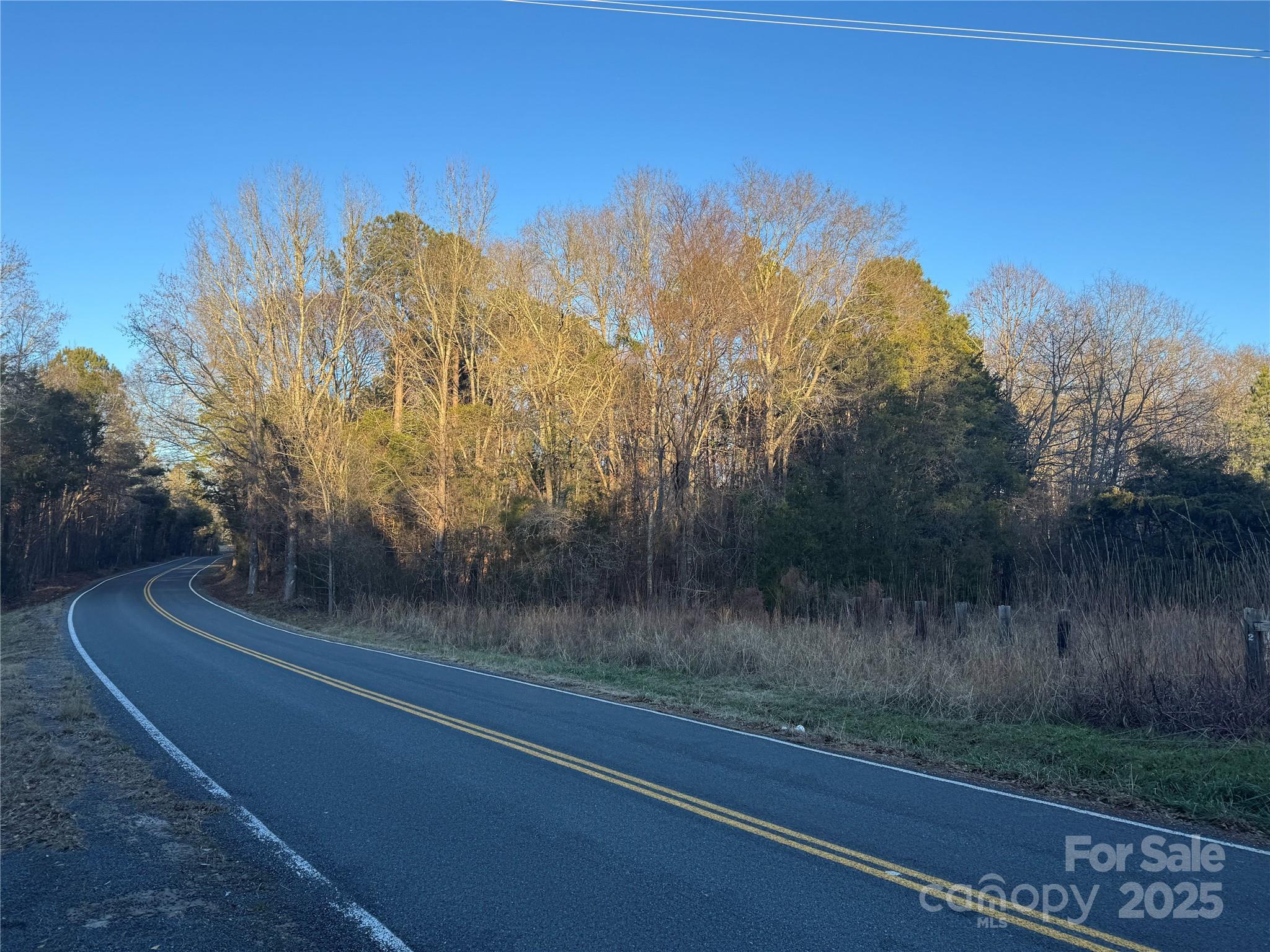 4252 Reid Road Gaston, SC 29053 - Photo 3 of 5 a view of a yard