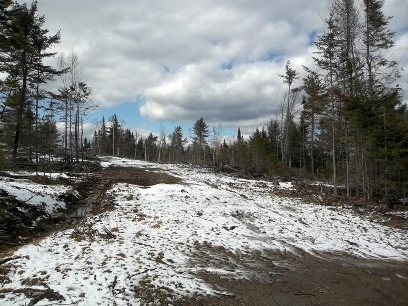 M5-l33 Sherman Road Robbinston, ME 04671 - Photo 3 of 11 Photo