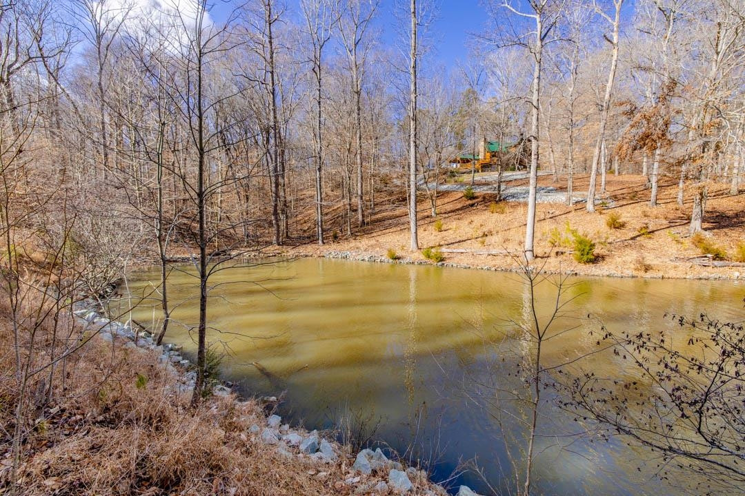 Lot #7 Deer Meadow Road Semora, NC 27343 - Photo 5 of 10 Photo 5