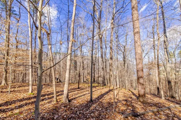 $199,000 | Lot #7 Deer Meadow Road, Semora, NC 27343