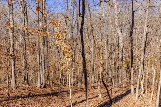 $199,000 | Lot #7 Deer Meadow Road, Semora, NC 27343