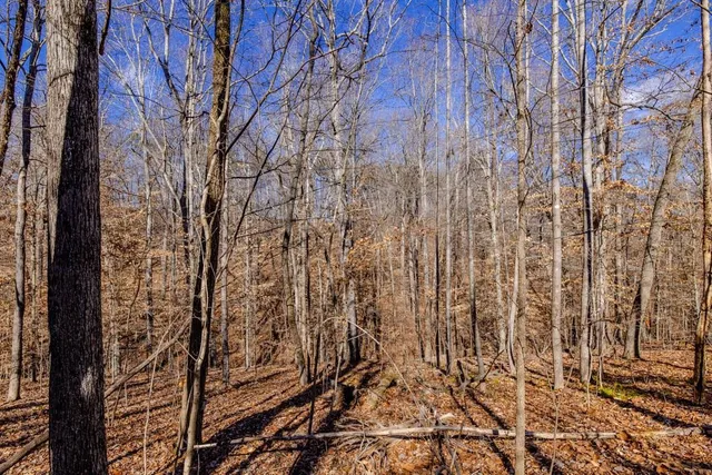 $199,000 | Lot #7 Deer Meadow Road, Semora, NC 27343