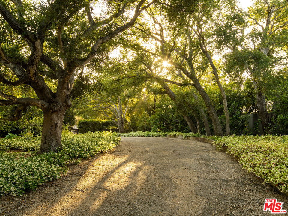 650 San Ysidro Road Santa Barbara, CA 93108 - Photo 11 of 55 a view of outdoor space with trees all around