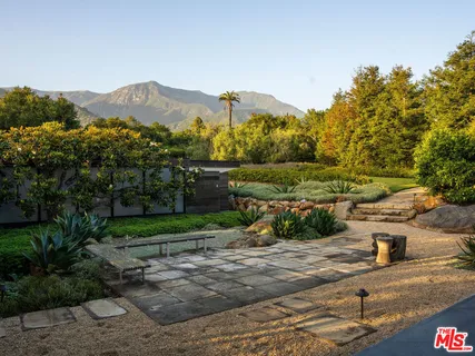 a view of a garden with plants