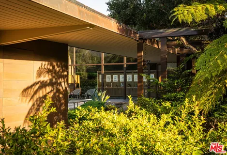 a view of a back yard