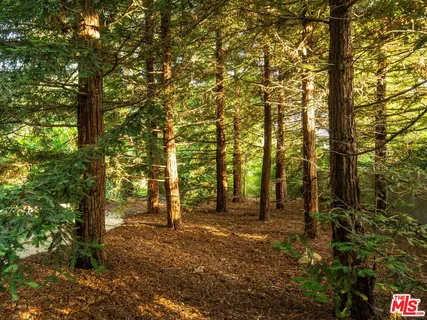 $14,995,000 | 650 San Ysidro Road, Santa Barbara, CA 93108