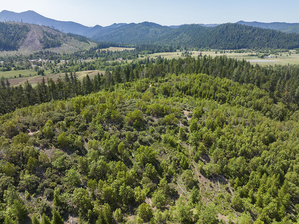 0 Deer Creek Road, Unit 802 Selma, OR 97538 - Photo 1 of 9 1