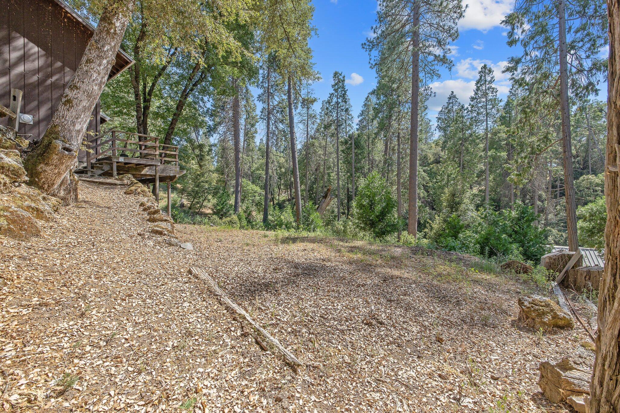 48675 Todd Eymann Road Miramonte, CA 93641 - Photo 55 of 103 54-web-or-mls-713A7253