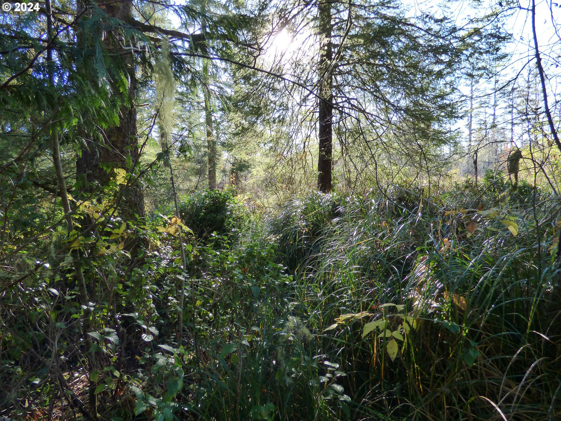 88271 Mccormick Garden Road Gearhart, OR 97138 - Photo 12 of 38