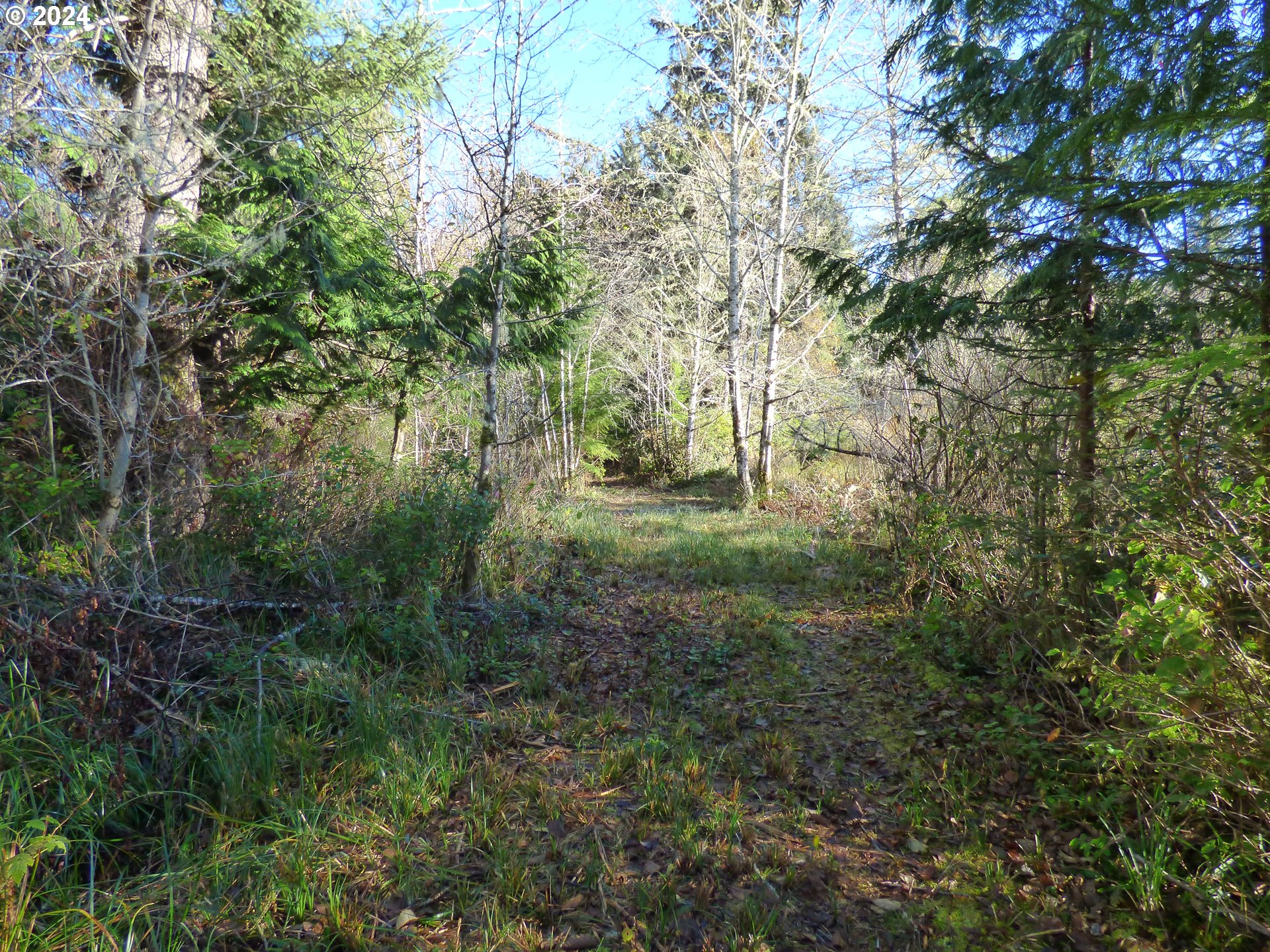 88271 Mccormick Garden Road Gearhart, OR 97138 - Photo 13 of 38