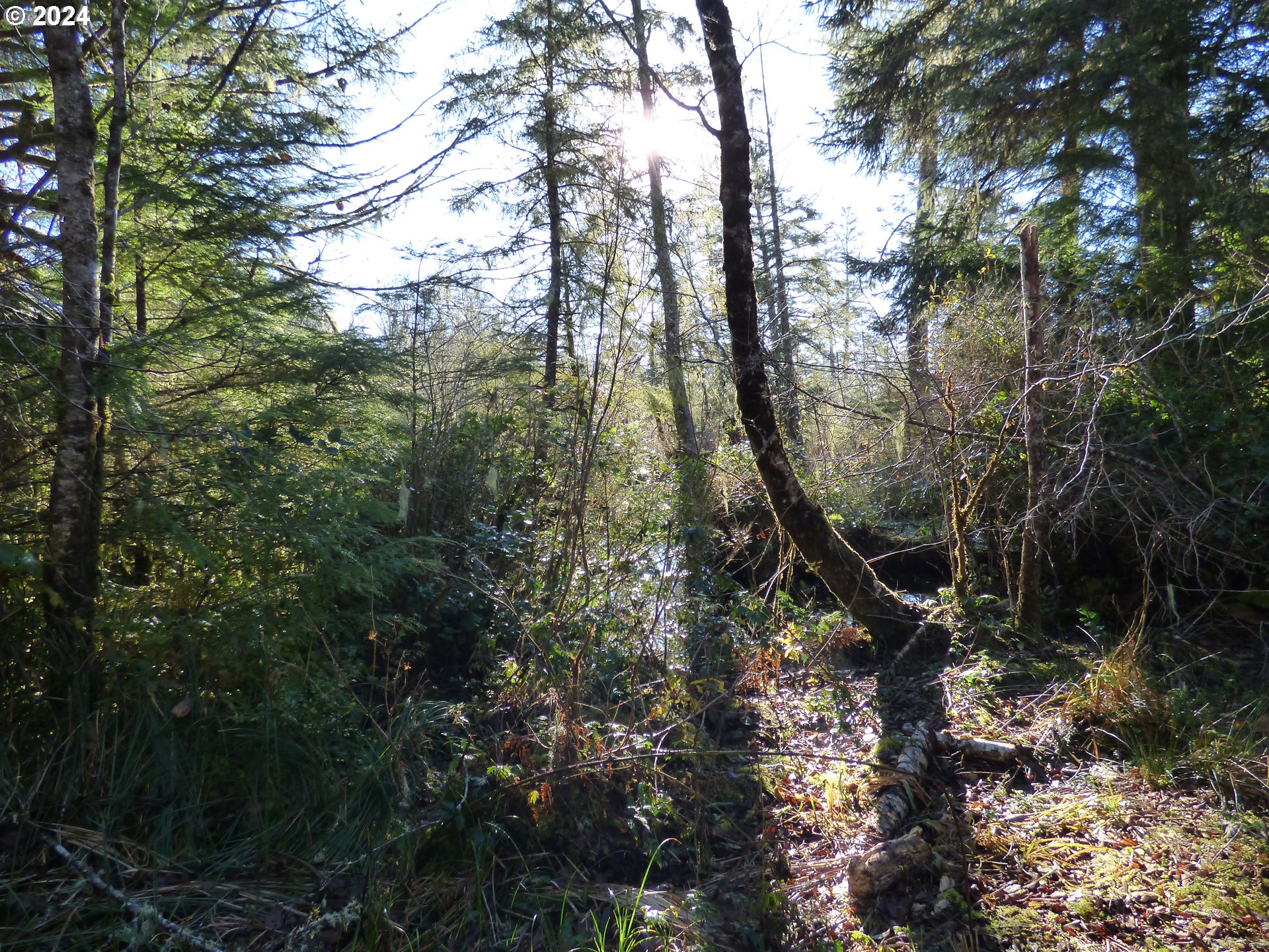 88271 Mccormick Garden Road Gearhart, OR 97138 - Photo 14 of 38