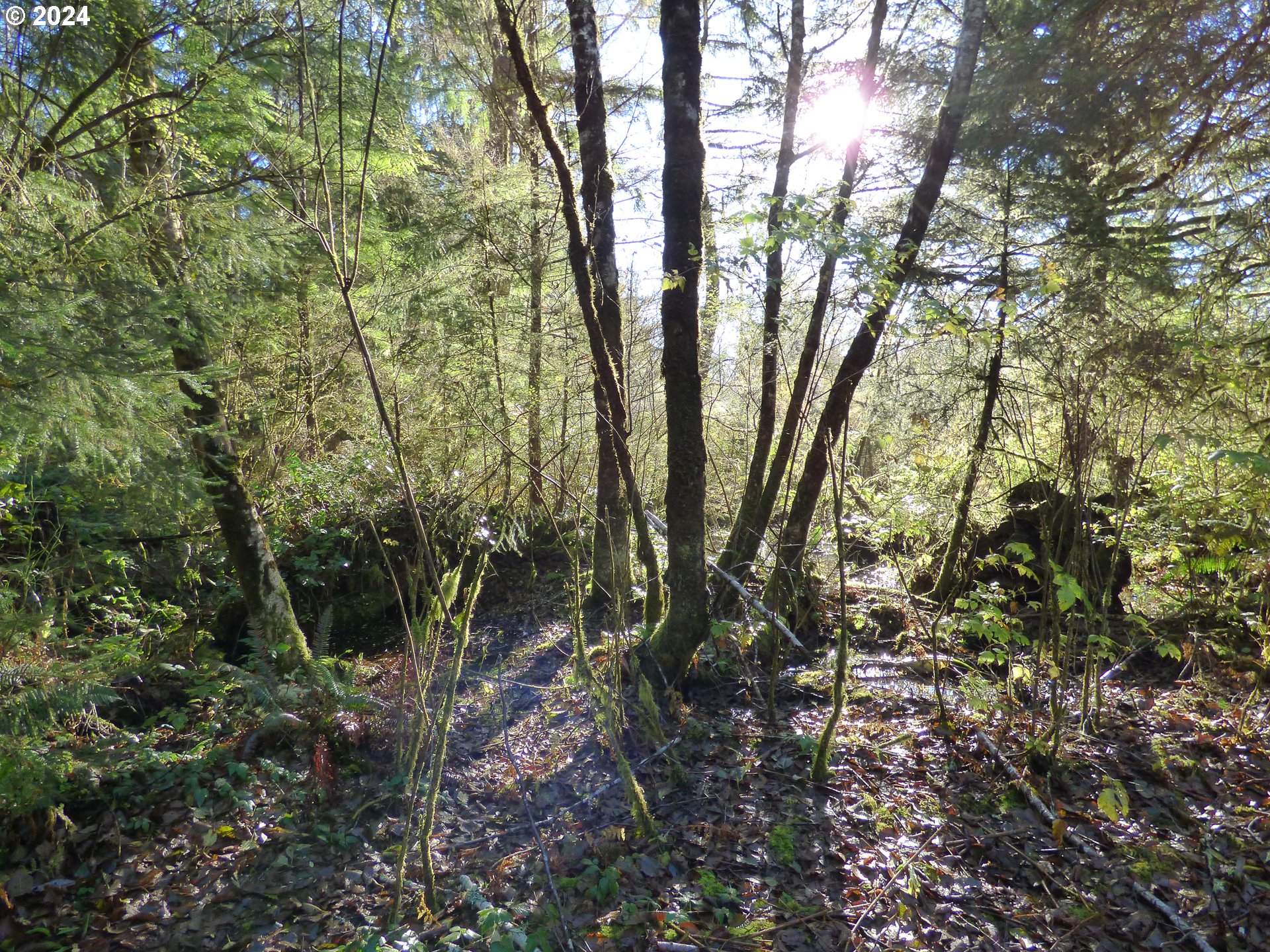 88271 Mccormick Garden Road Gearhart, OR 97138 - Photo 15 of 38