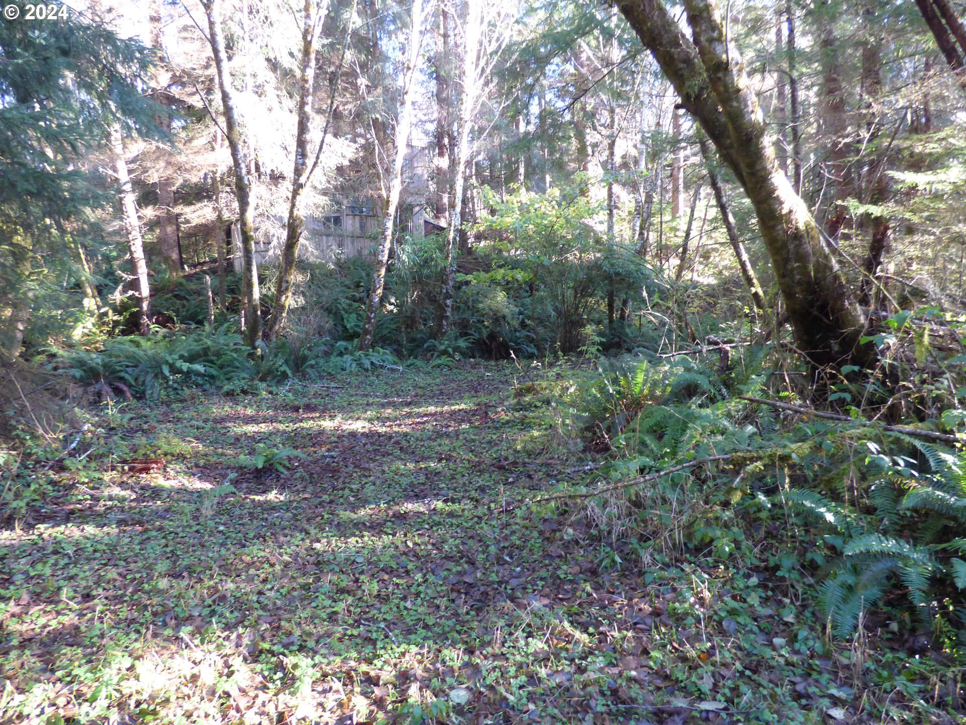 88271 Mccormick Garden Road Gearhart, OR 97138 - Photo 16 of 38