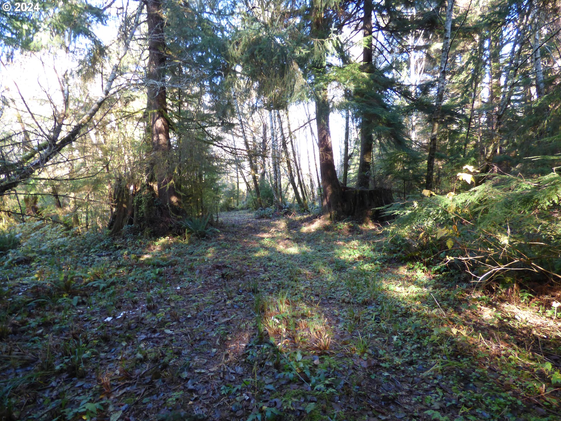 88271 Mccormick Garden Road Gearhart, OR 97138 - Photo 18 of 38