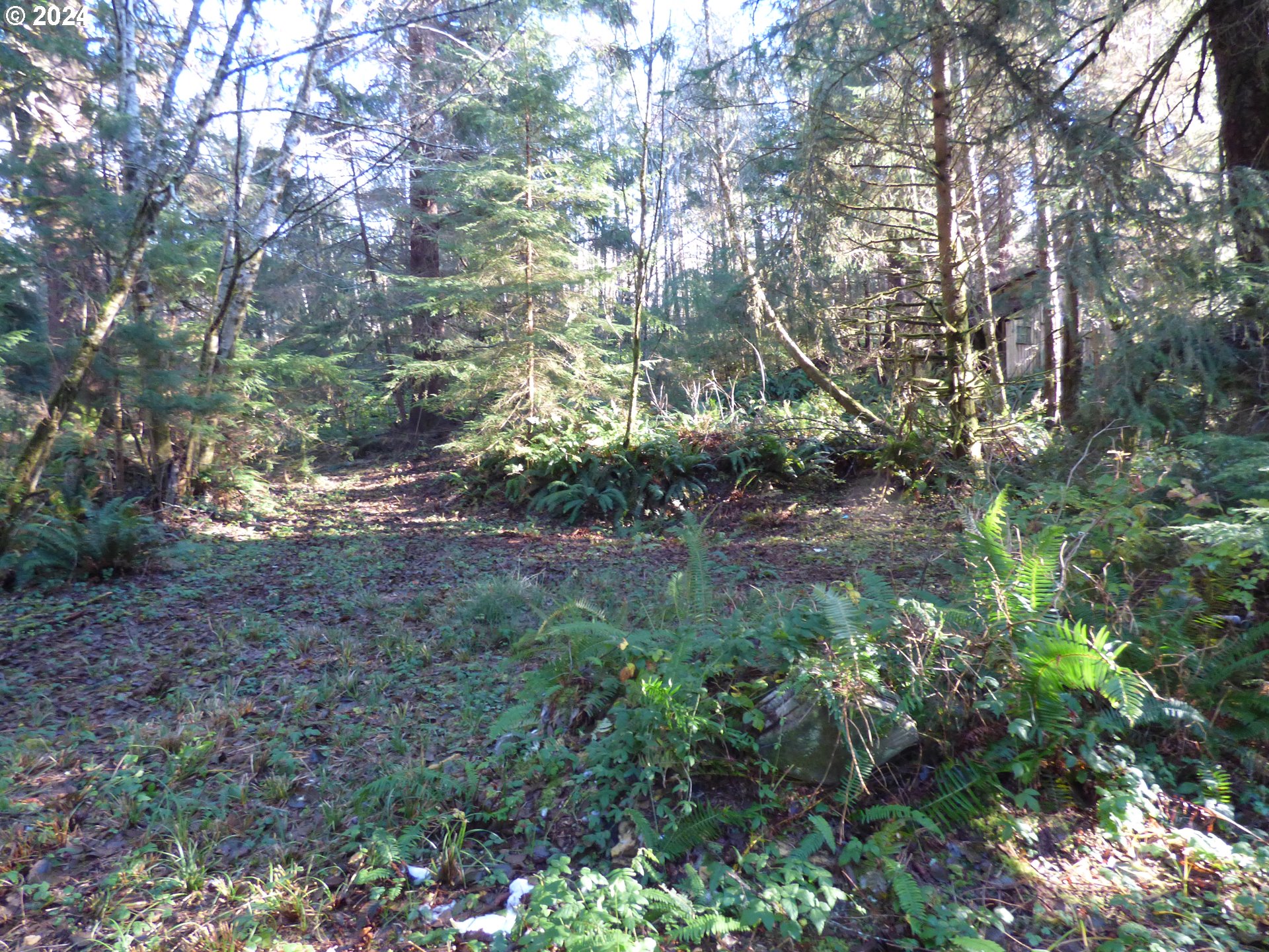 88271 Mccormick Garden Road Gearhart, OR 97138 - Photo 19 of 38