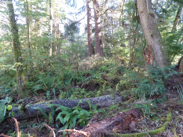 $260,000 | 88271 Mccormick Garden Road, Gearhart, OR 97138