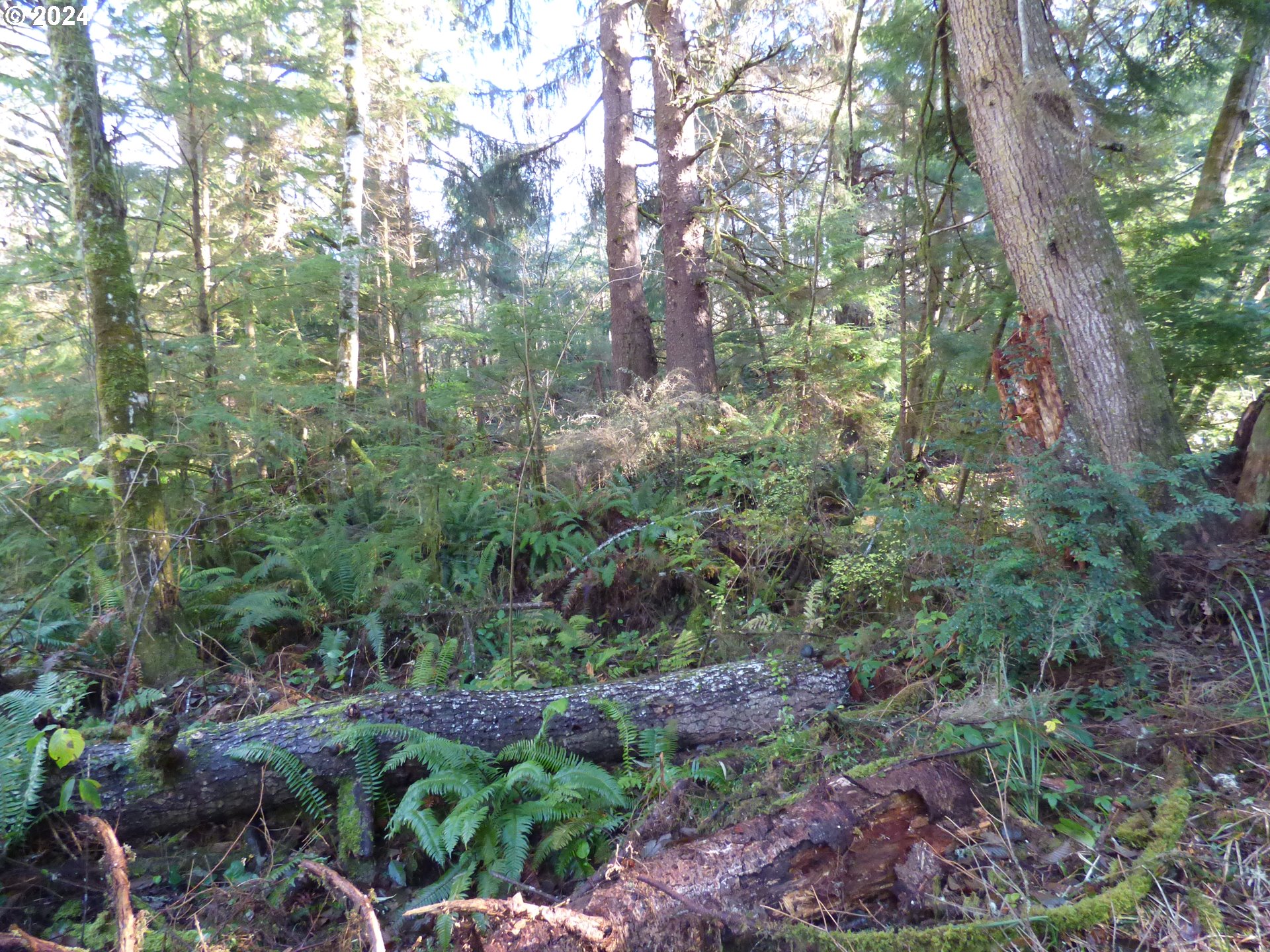 88271 Mccormick Garden Road Gearhart, OR 97138 - Photo 20 of 38