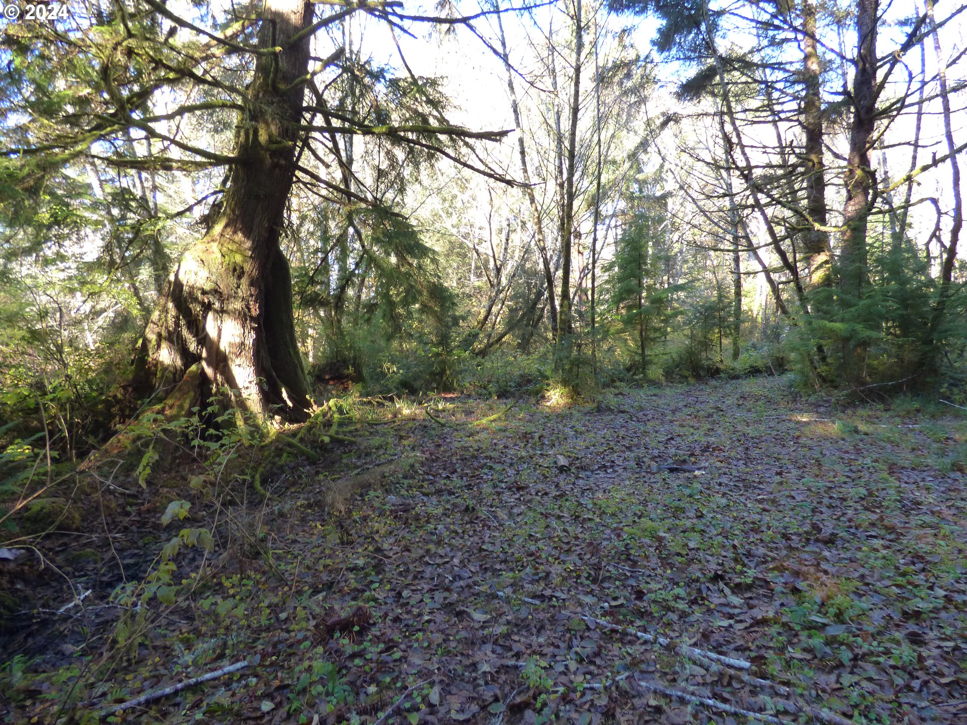 88271 Mccormick Garden Road Gearhart, OR 97138 - Photo 21 of 38