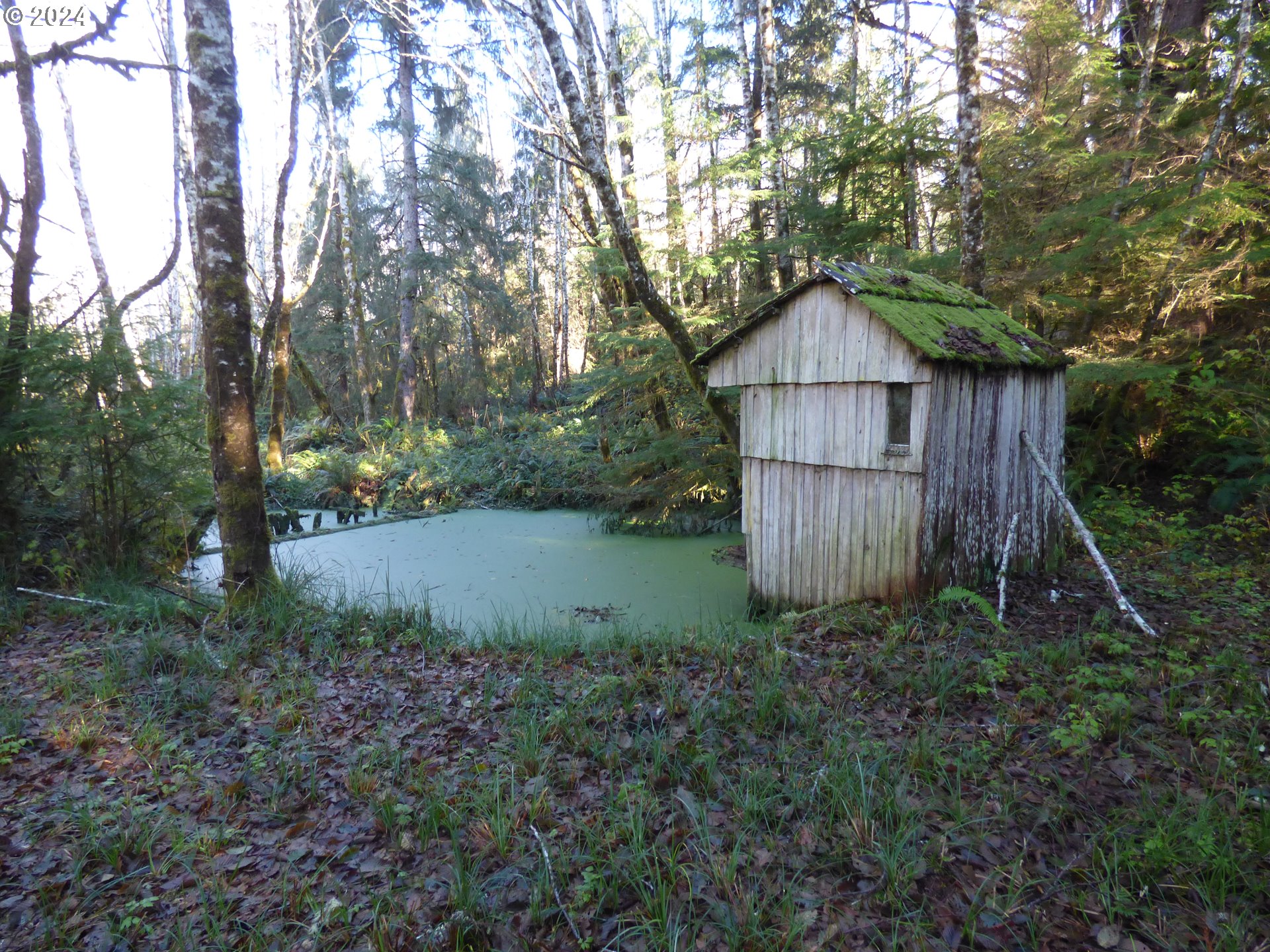 88271 Mccormick Garden Road Gearhart, OR 97138 - Photo 22 of 38