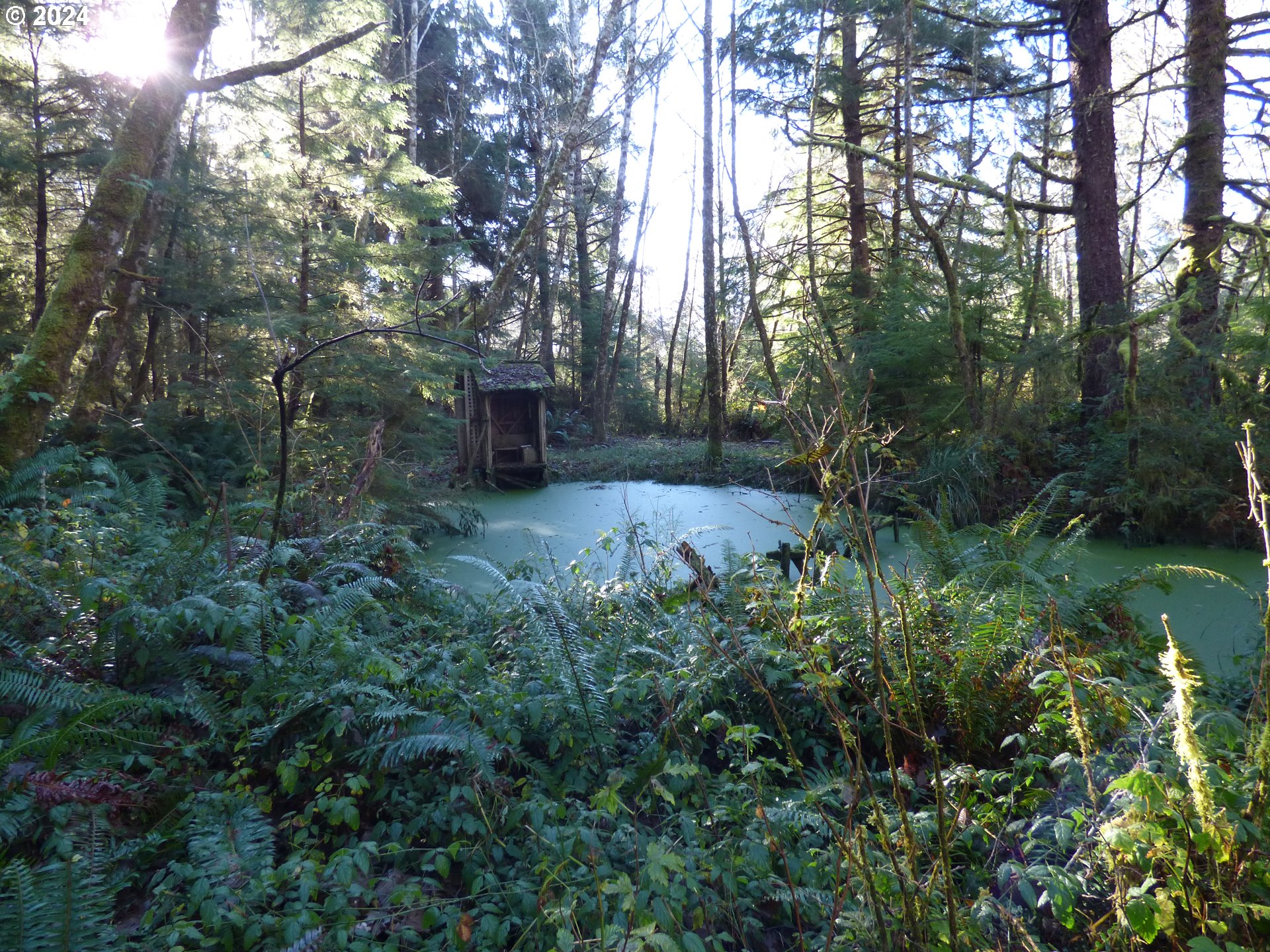 88271 Mccormick Garden Road Gearhart, OR 97138 - Photo 24 of 38