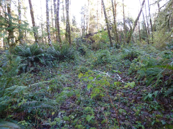 $260,000 | 88271 Mccormick Garden Road, Gearhart, OR 97138