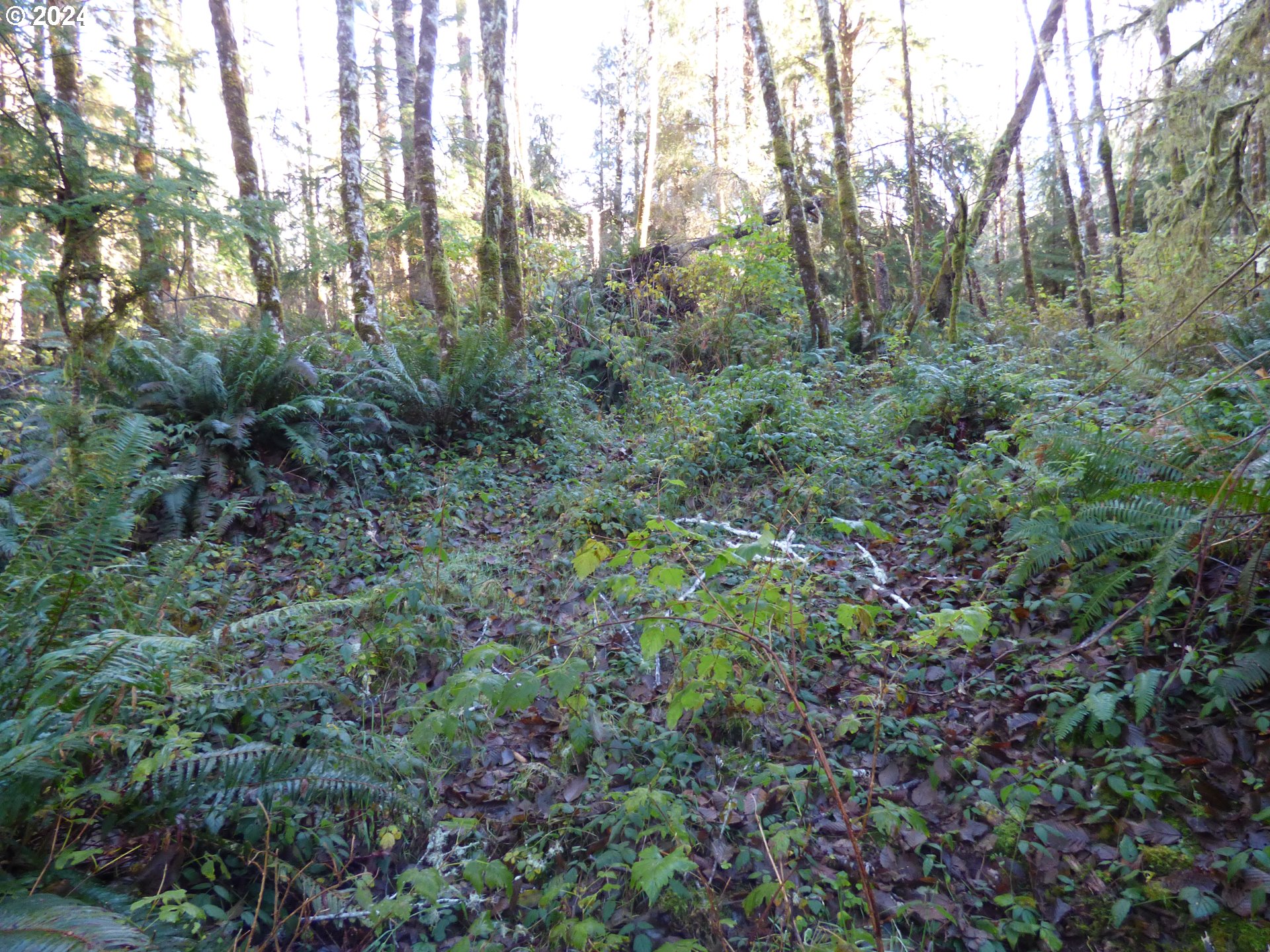 88271 Mccormick Garden Road Gearhart, OR 97138 - Photo 27 of 38