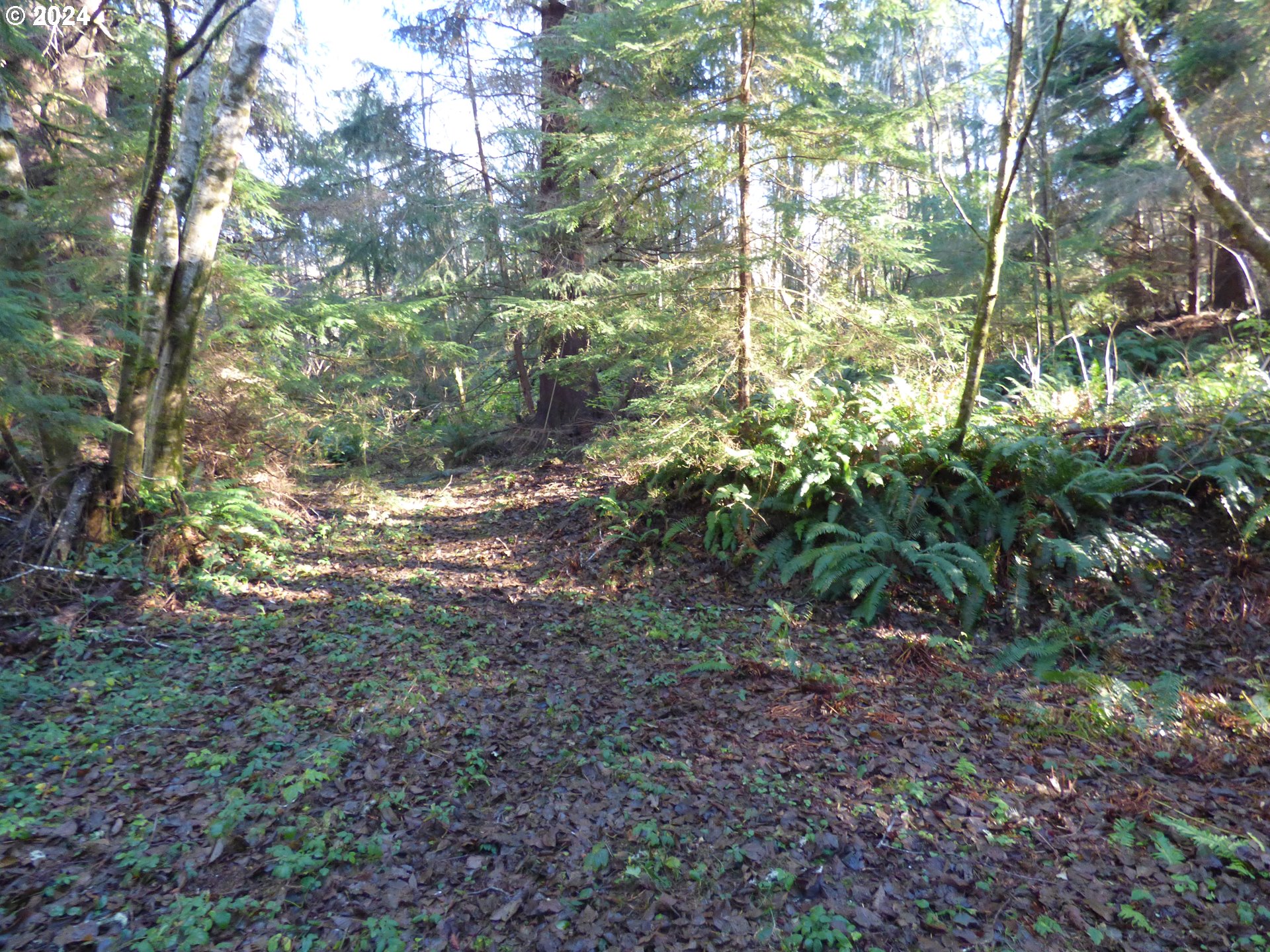 88271 Mccormick Garden Road Gearhart, OR 97138 - Photo 29 of 38