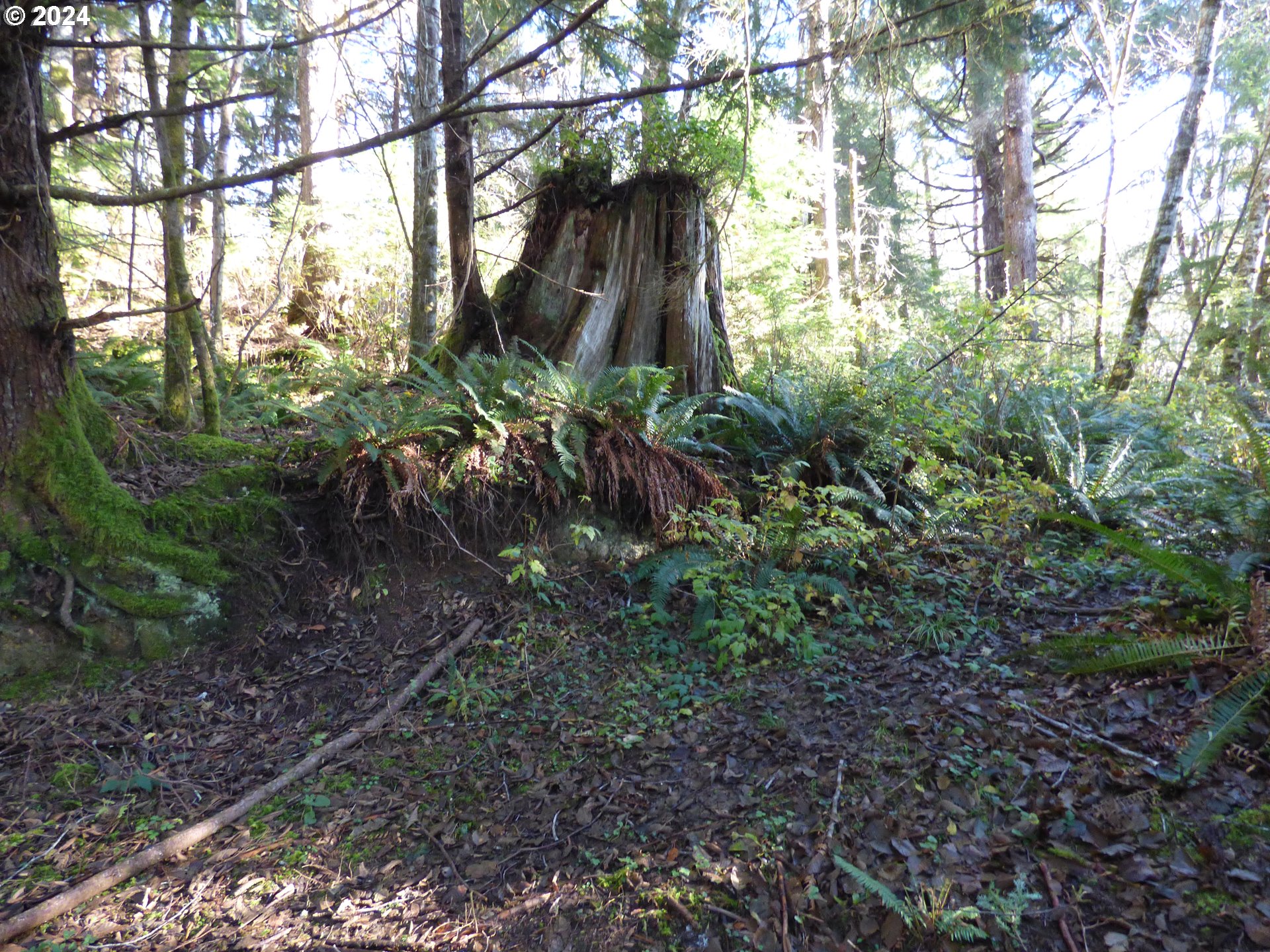 88271 Mccormick Garden Road Gearhart, OR 97138 - Photo 32 of 38