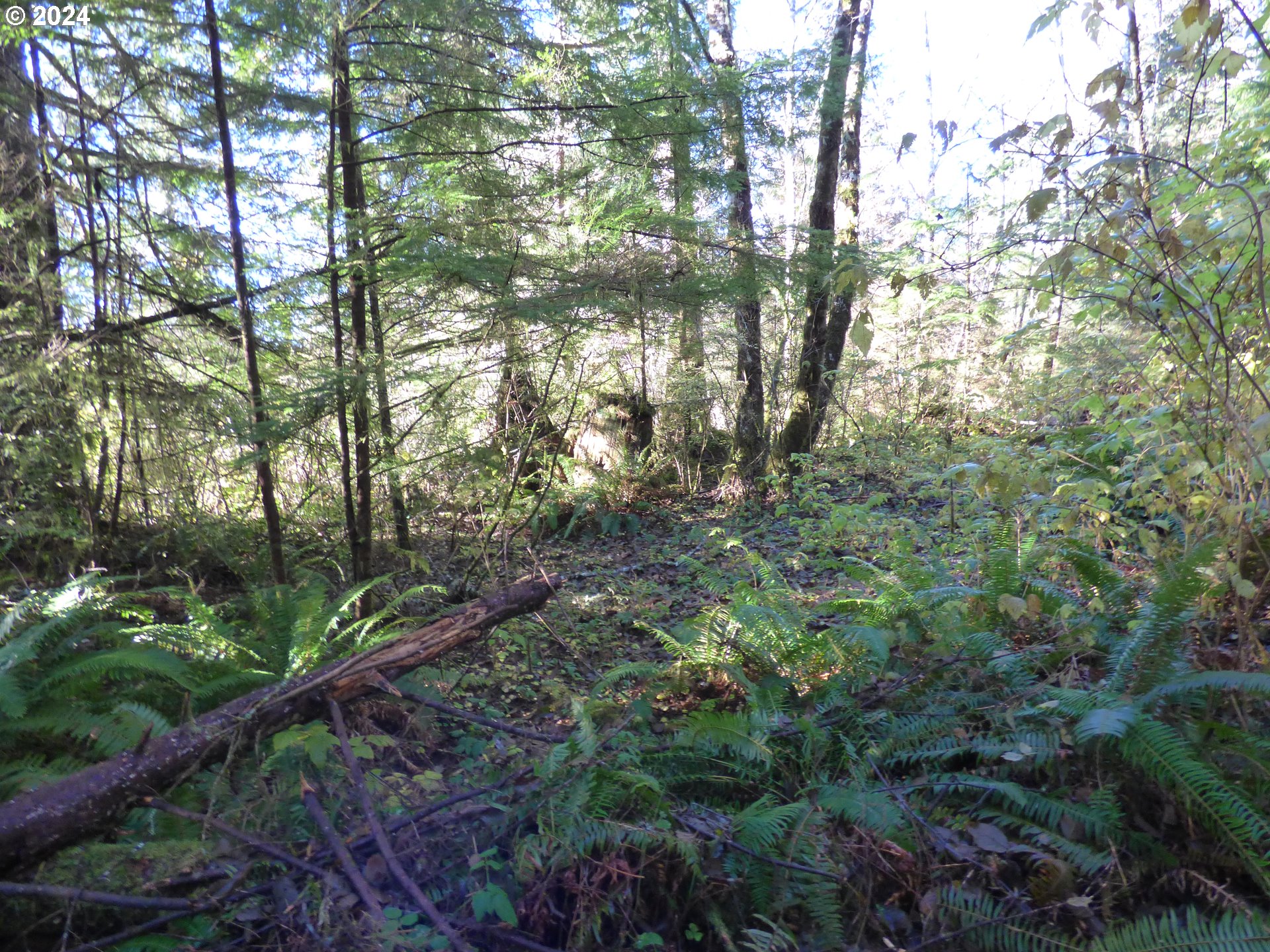 88271 Mccormick Garden Road Gearhart, OR 97138 - Photo 33 of 38