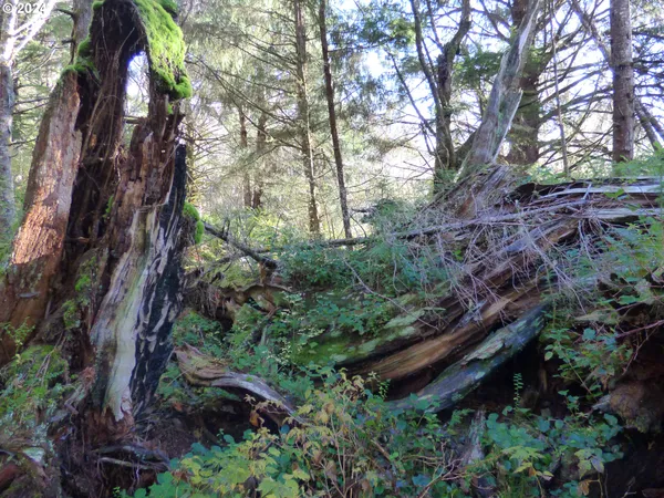 $260,000 | 88271 Mccormick Garden Road, Gearhart, OR 97138