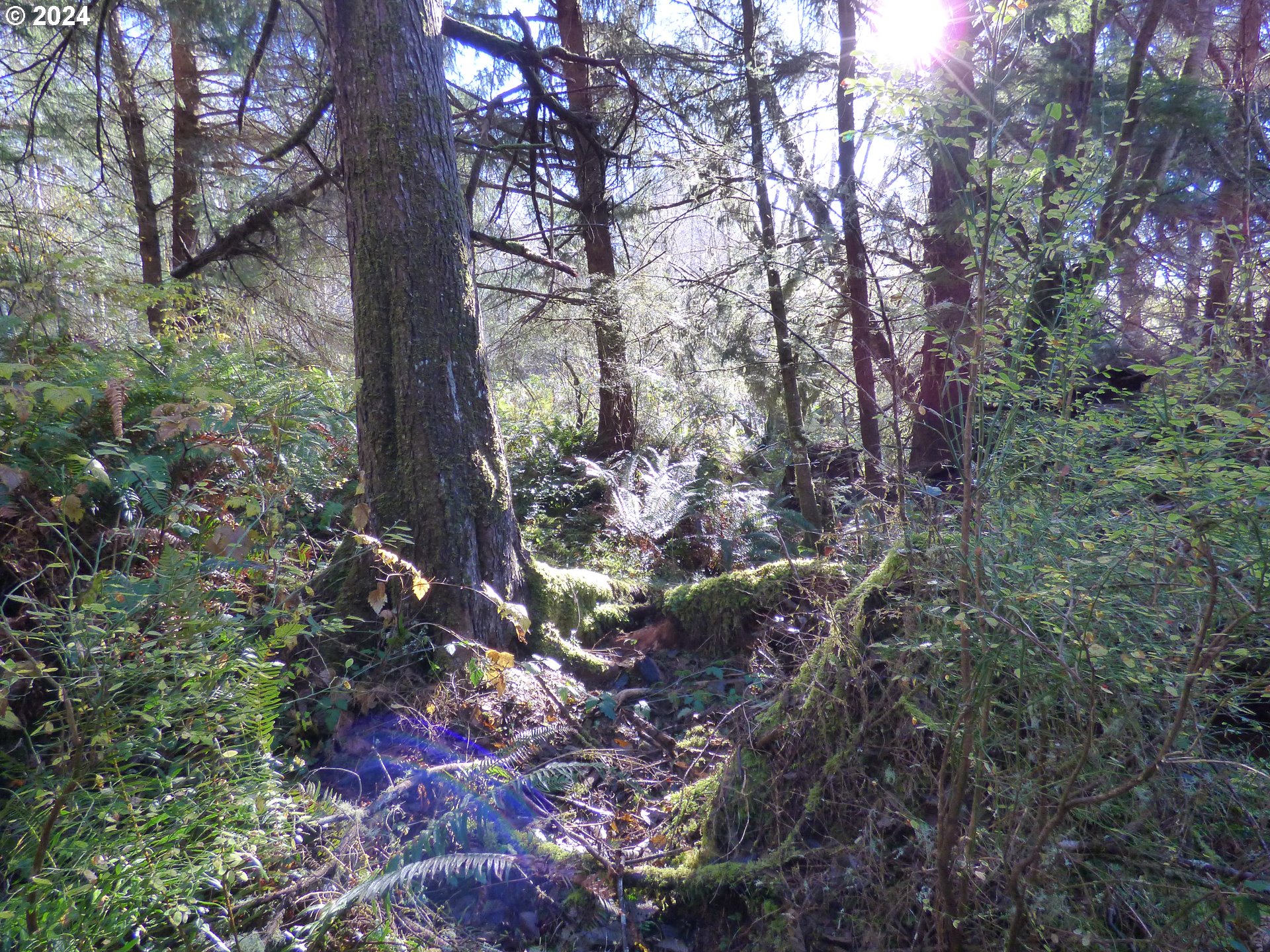 88271 Mccormick Garden Road Gearhart, OR 97138 - Photo 35 of 38