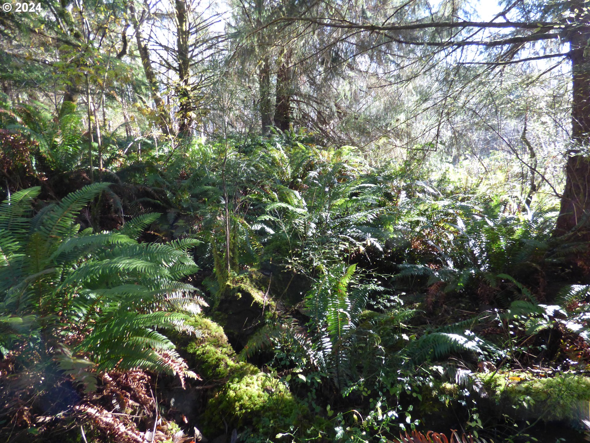 88271 Mccormick Garden Road Gearhart, OR 97138 - Photo 36 of 38