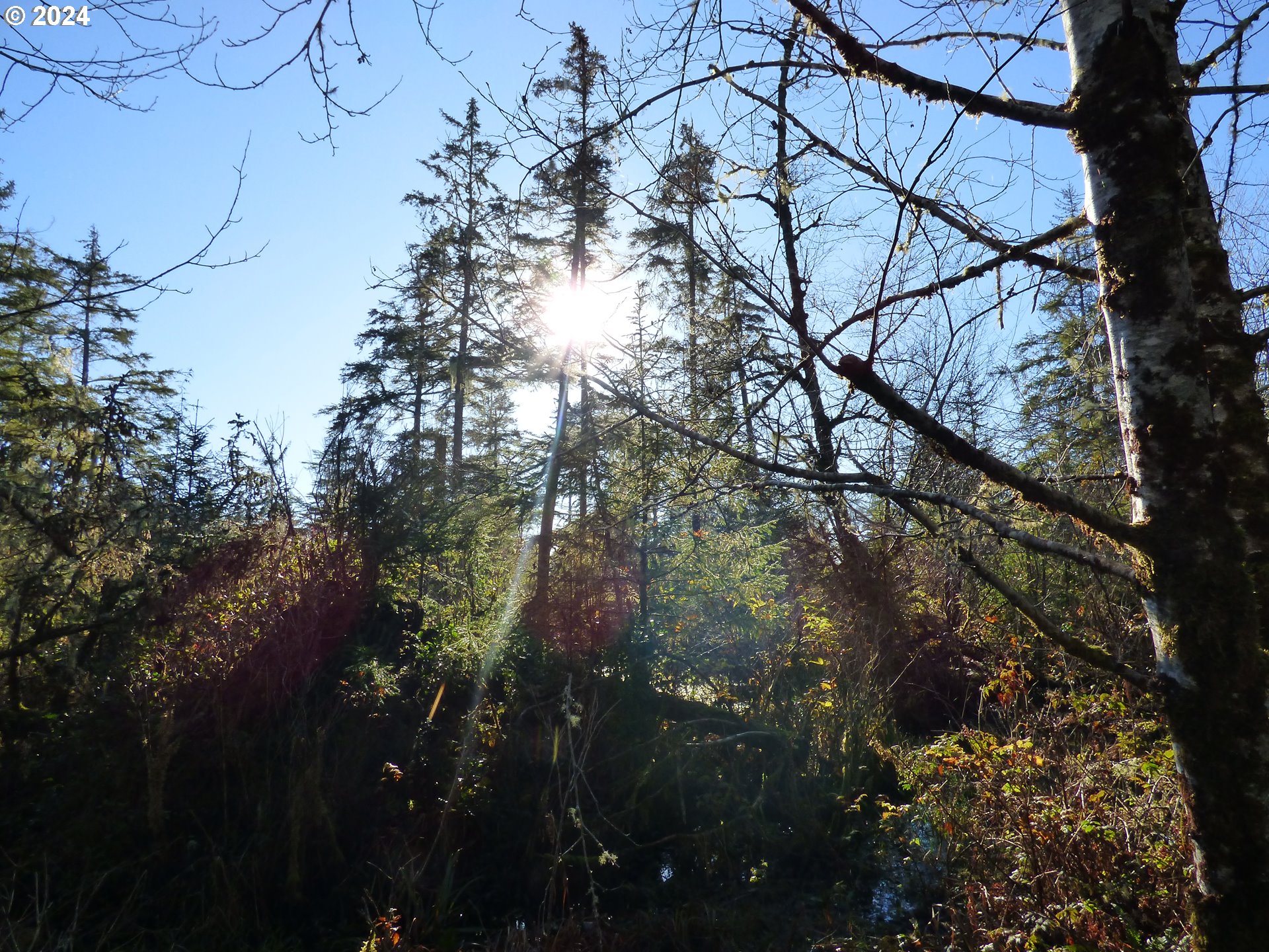 88271 Mccormick Garden Road Gearhart, OR 97138 - Photo 37 of 38