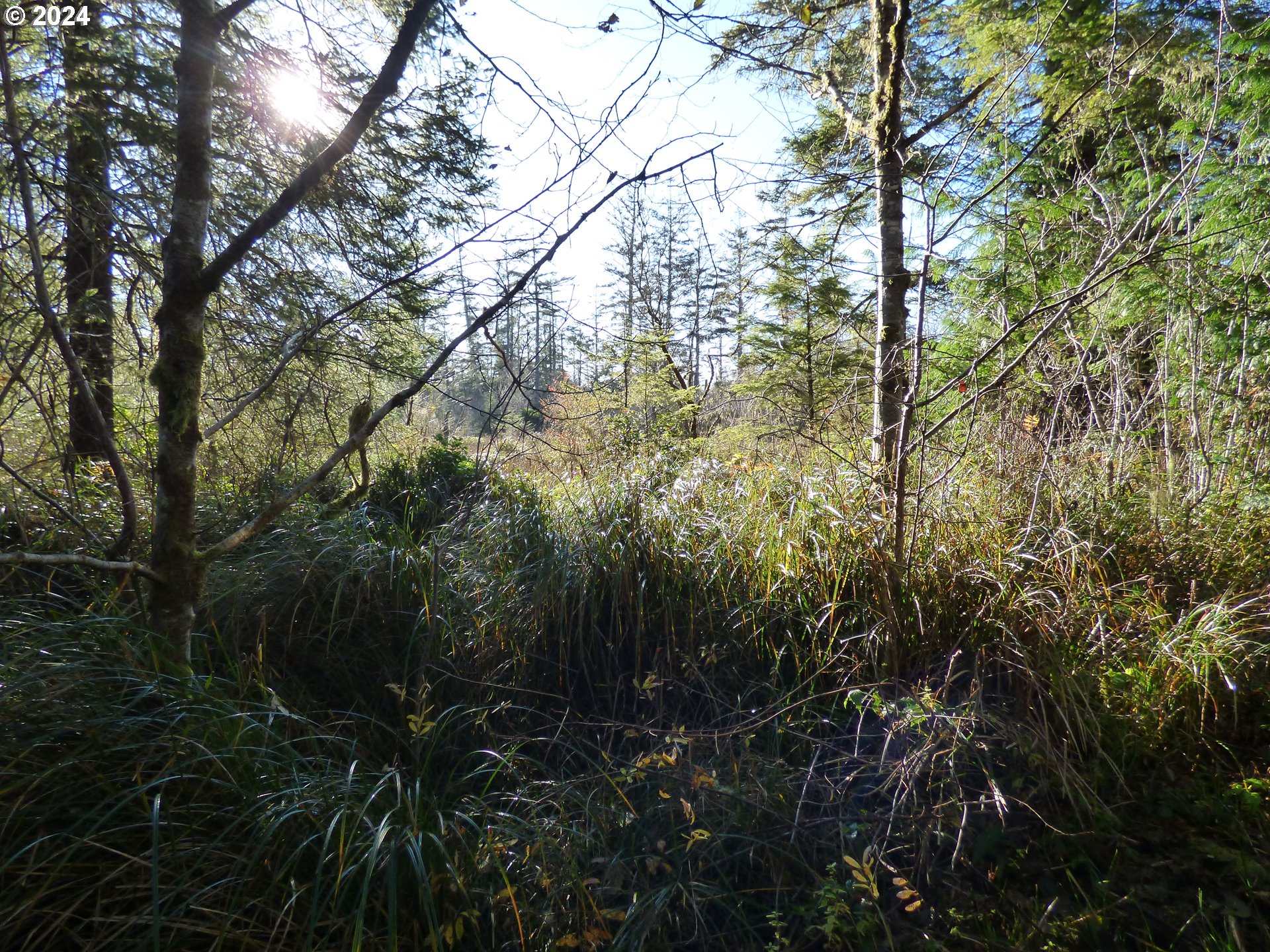 88271 Mccormick Garden Road Gearhart, OR 97138 - Photo 38 of 38