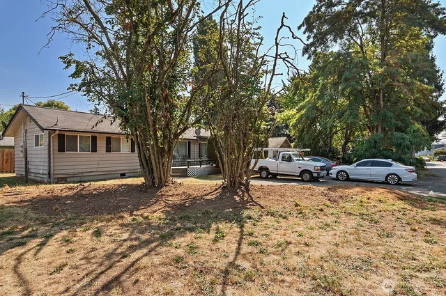 a view of a backyard with a table and chairs under a large tree
