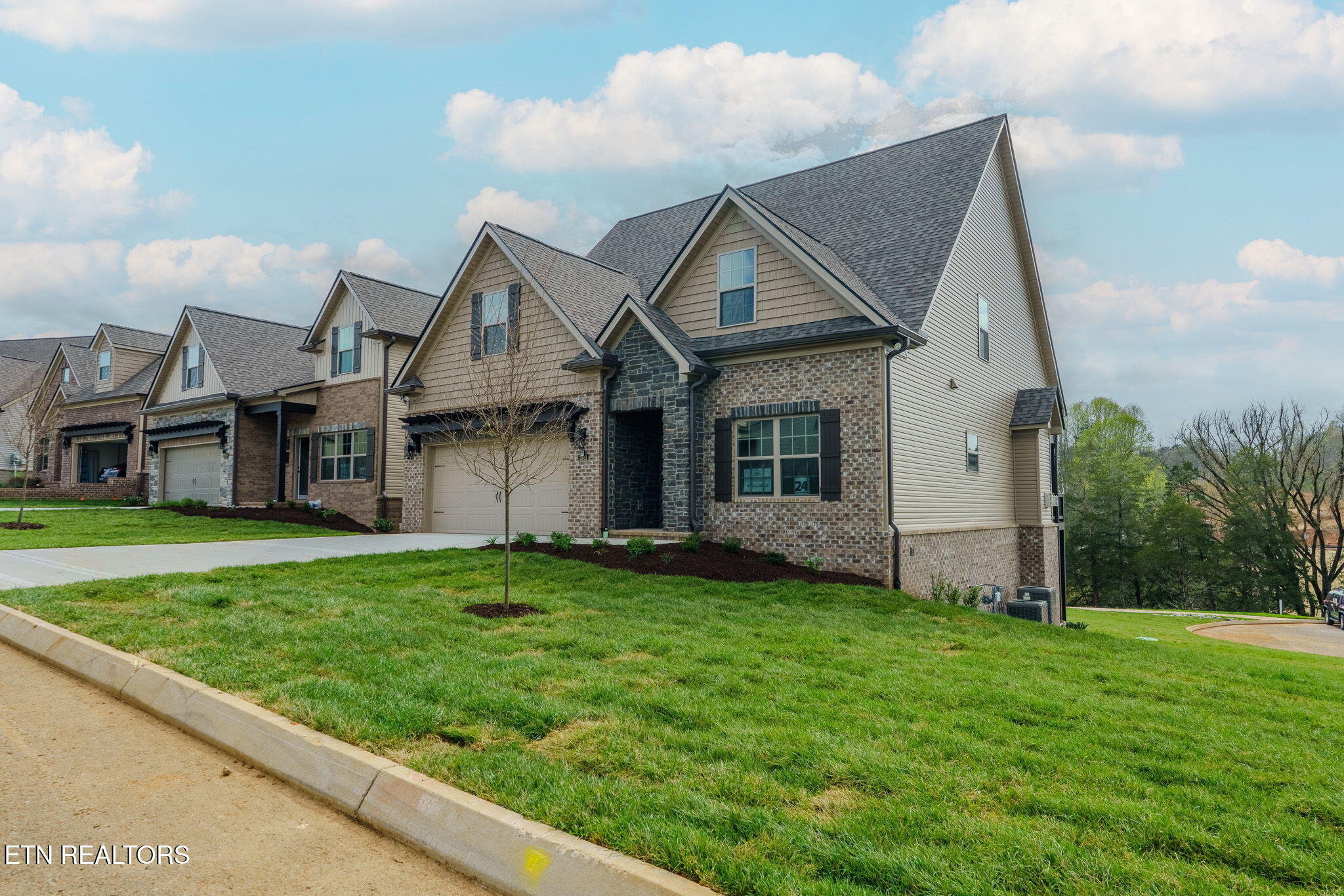 2931 Snow Pond Road Knoxville, TN 37931 - Photo 3 of 56 Front Exterior 3