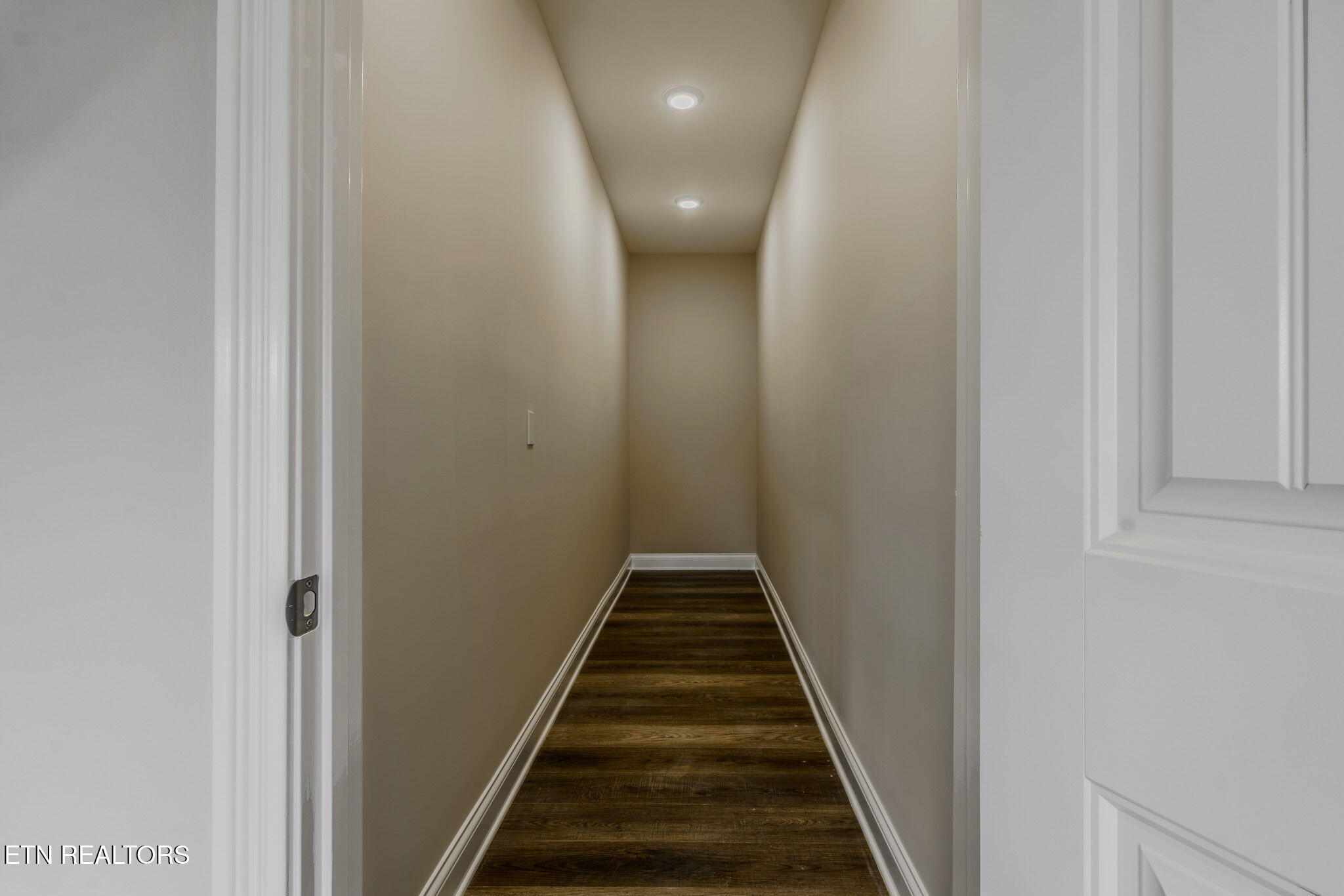 2931 Snow Pond Road Knoxville, TN 37931 - Photo 31 of 56 Basement Storage 1