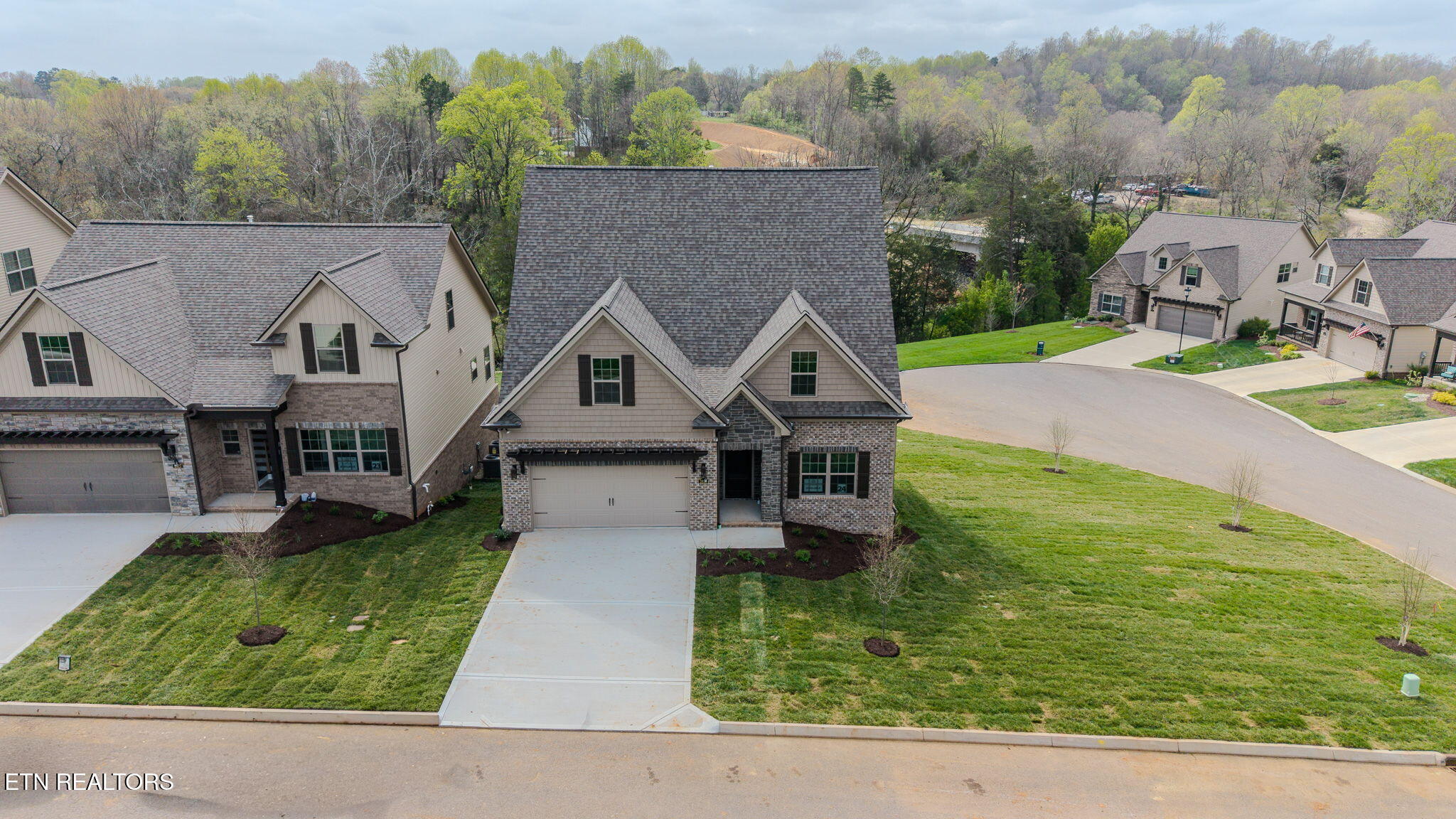 2931 Snow Pond Road Knoxville, TN 37931 - Photo 52 of 56 Drone 1