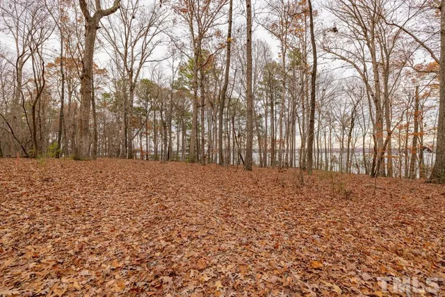 a big yard with lots of green space