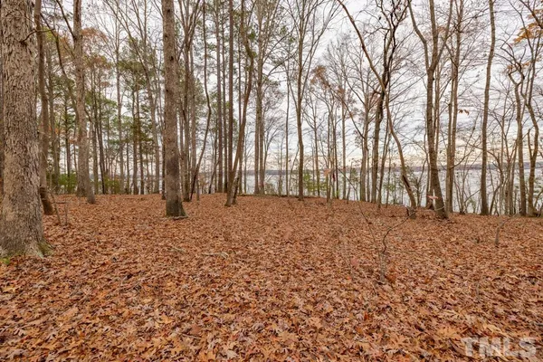 a view of outdoor space with lots of trees