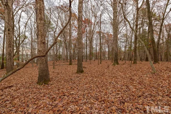 a view of yard with trees