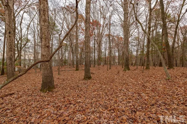 a view of yard with trees