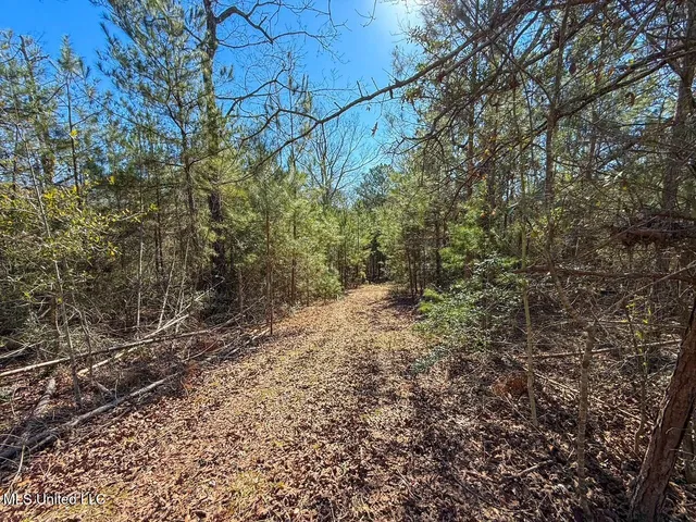 $225,000 | 4026 Cowart Price Road, Tylertown, MS 39667