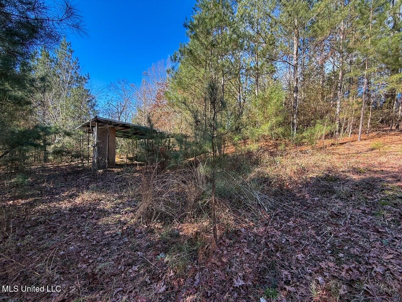 4026 Cowart Price Road Tylertown, MS 39667 - Photo 17 of 21 IMG_6709