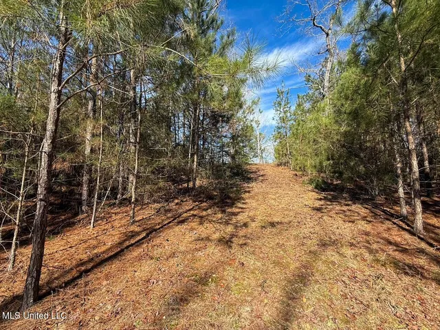 $225,000 | 4026 Cowart Price Road, Tylertown, MS 39667