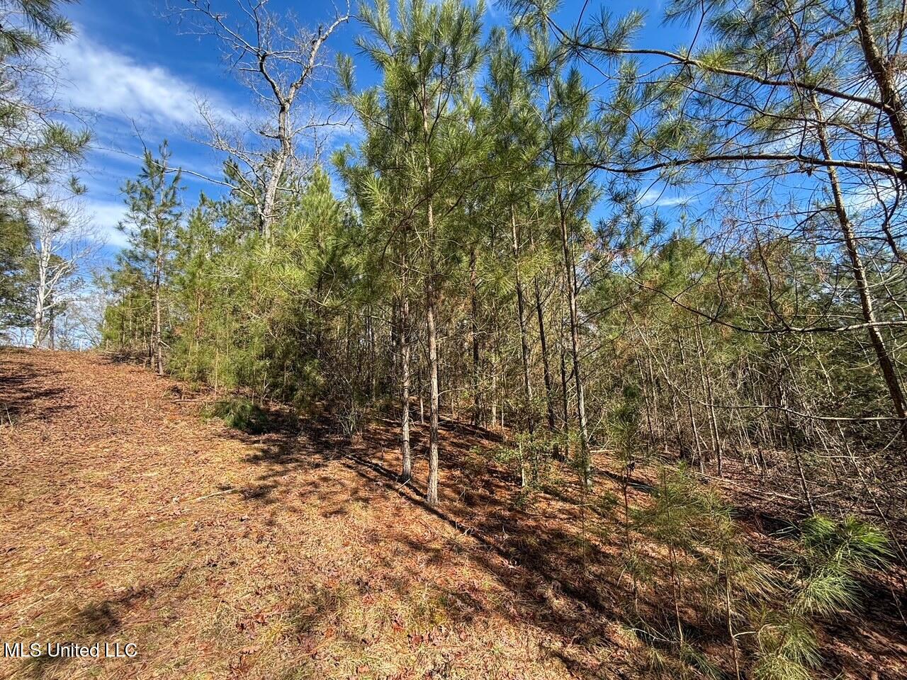 4026 Cowart Price Road Tylertown, MS 39667 - Photo 19 of 21 IMG_6711