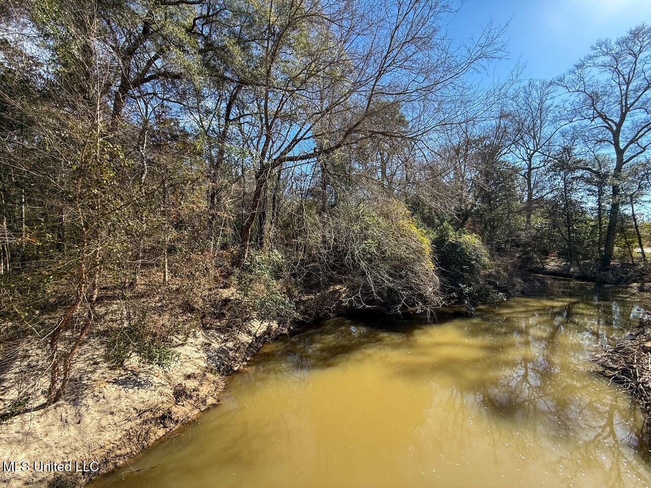 4026 Cowart Price Road Tylertown, MS 39667 - Photo 20 of 21 IMG_6714