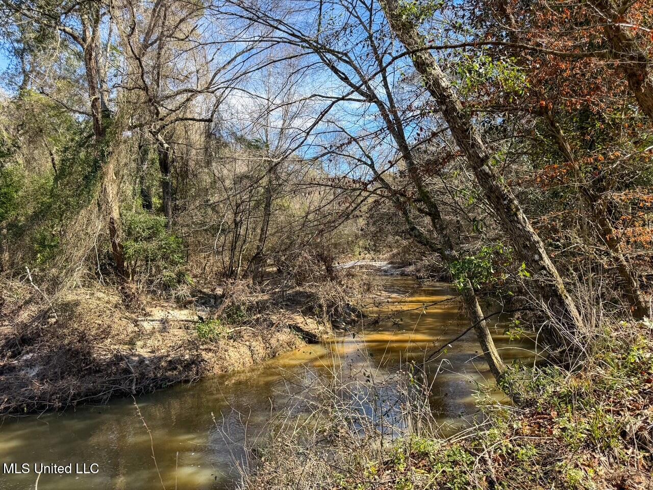 4026 Cowart Price Road Tylertown, MS 39667 - Photo 2 of 21 IMG_6715
